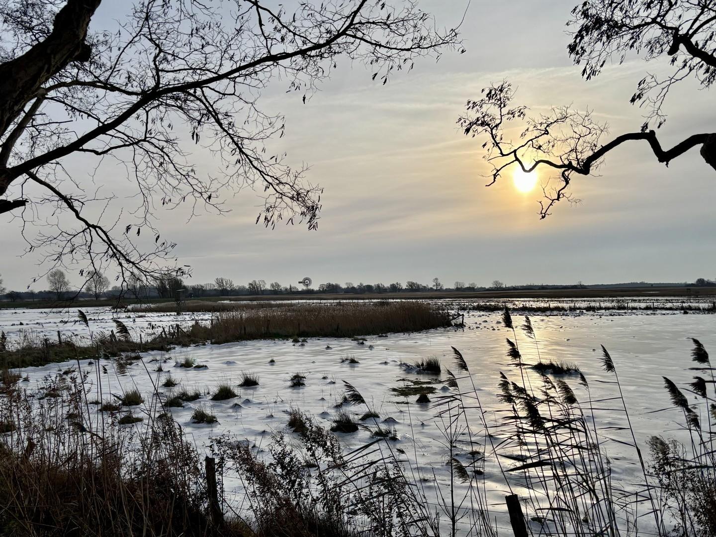 Unverbauter Boddenblick 
