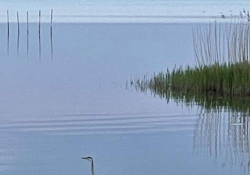 Idylle Bodden