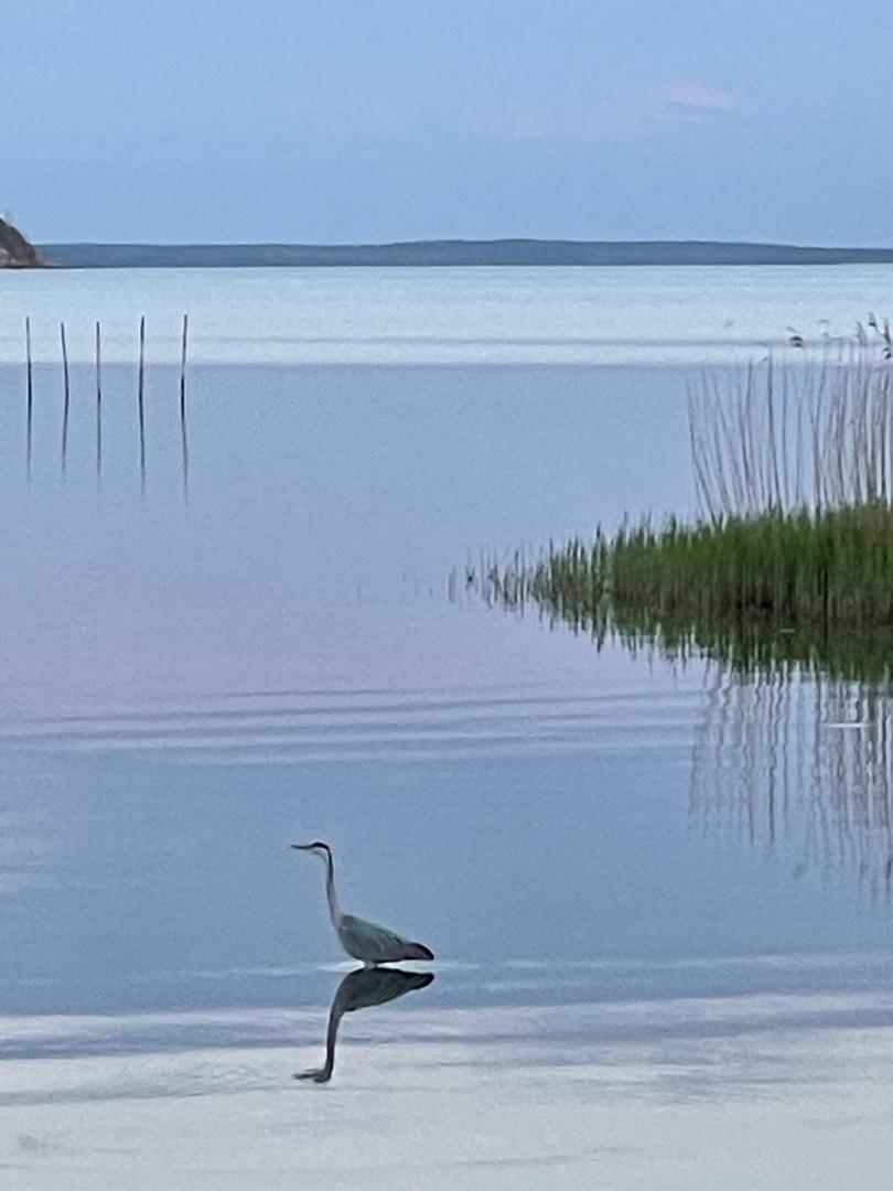 Idylle Bodden