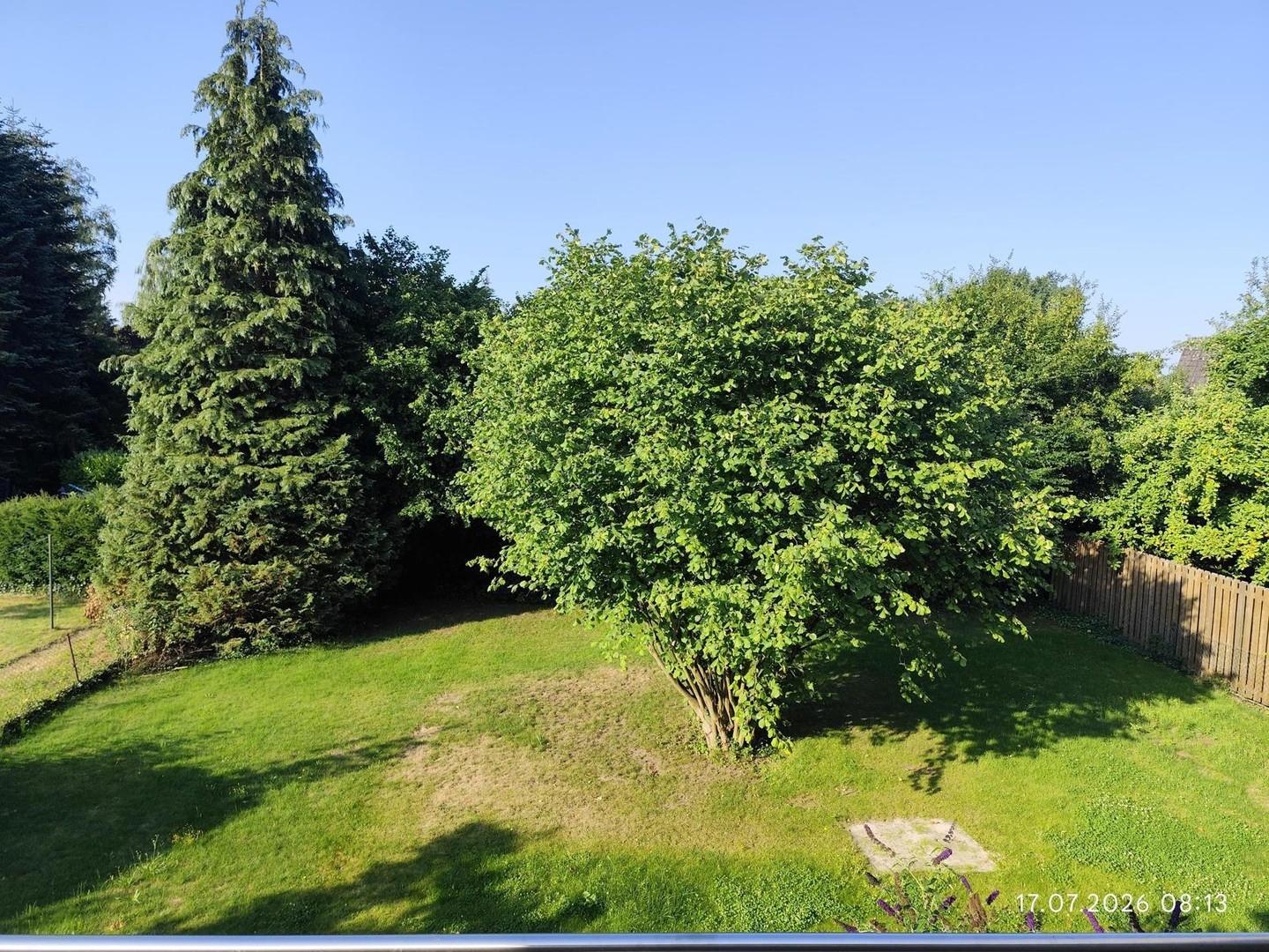 Terrassenblick in den Garten
