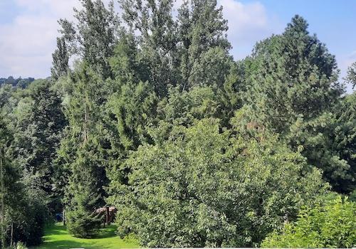Sicht in das Hexbachtal
