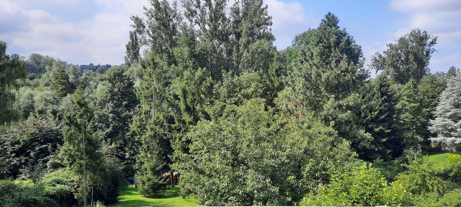 Sicht in das Hexbachtal