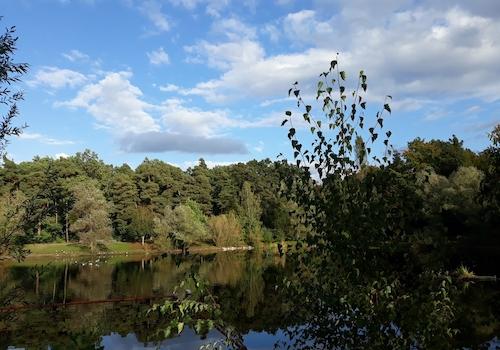 Wunderschöner Seeblick