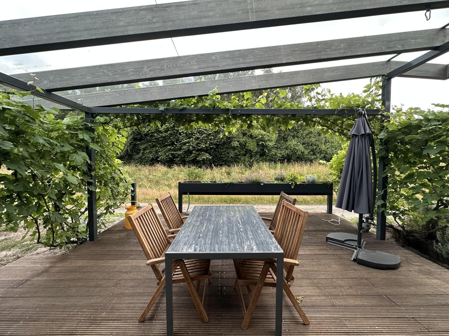 Terrasse Süden