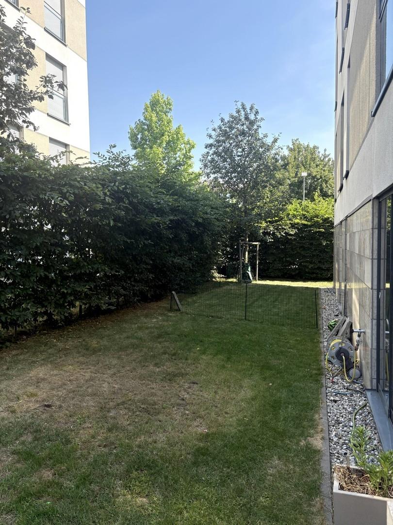 Seitlicher Garten