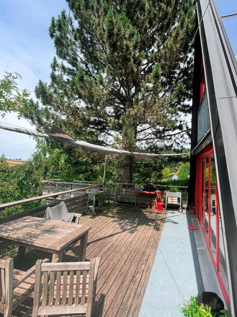 Terrasse mit großer Kiefer