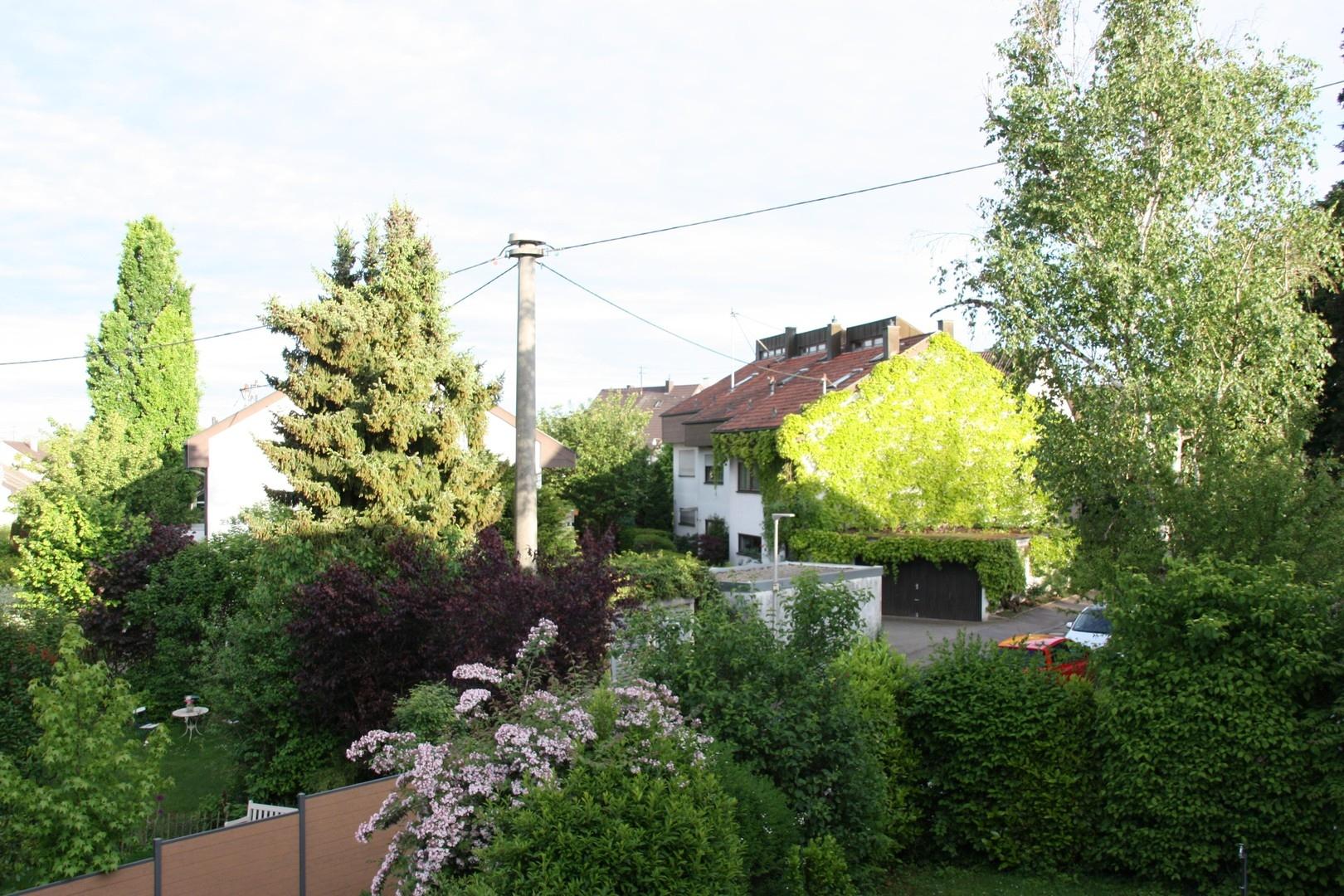 Ruhige Nachbarschaft