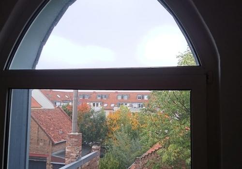 Blick in den grünen Garten