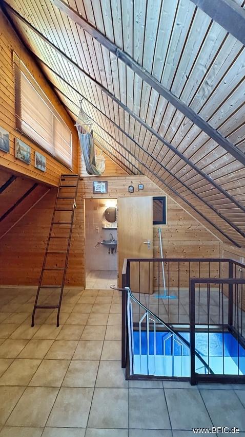 DG Studio