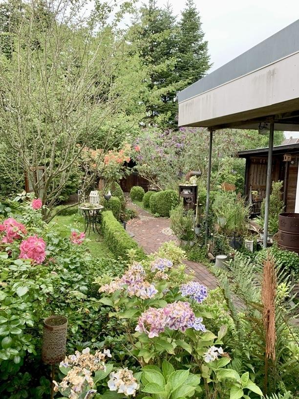 Blick in den Garten 