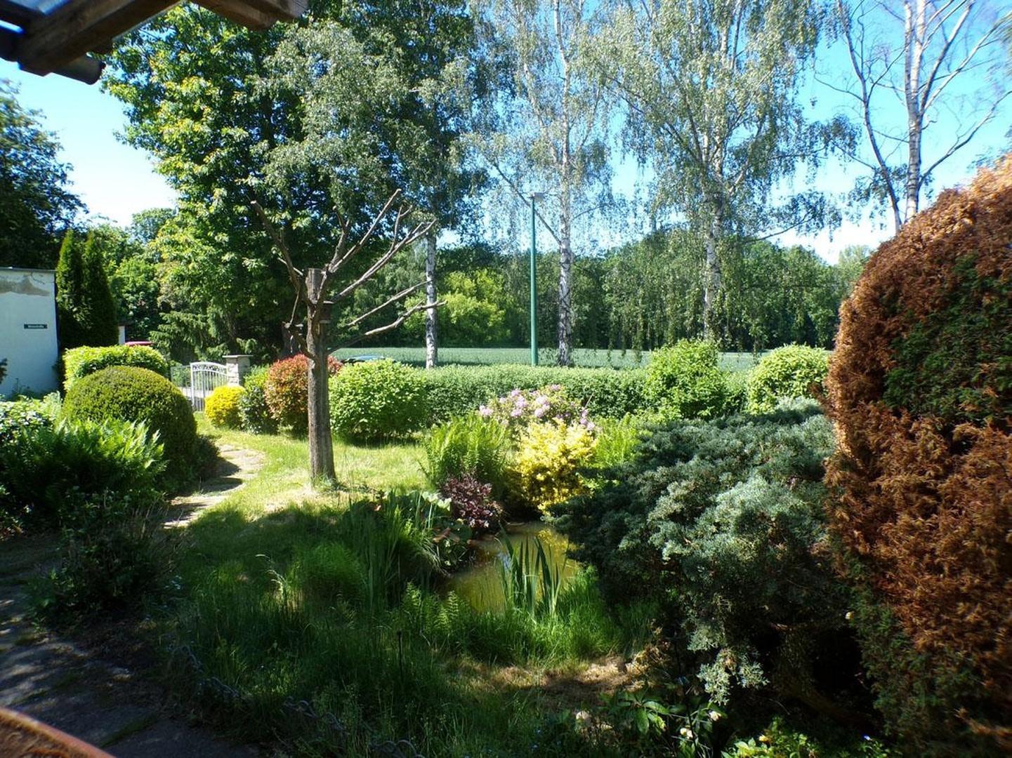 06_Blick_von_Terrasse