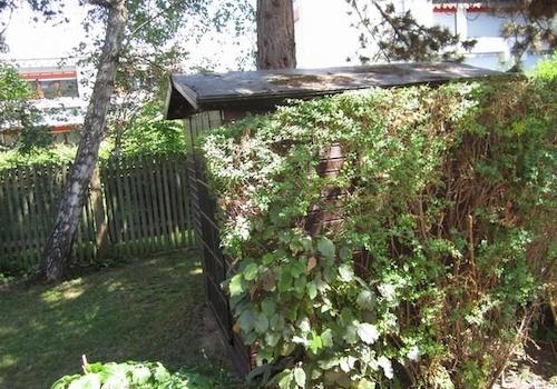 Eigene Gartenhütte mit...