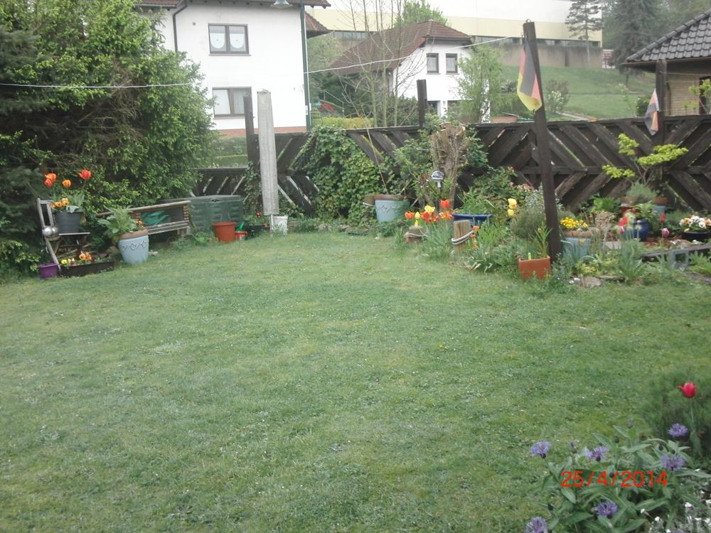 Garten zuletzt blühend