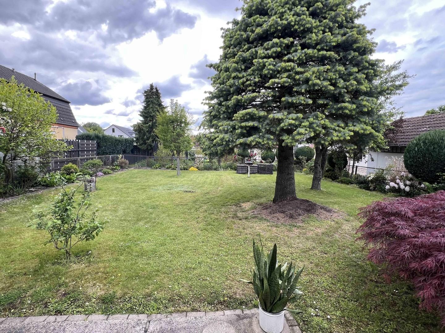 Garten hinter dem Haus