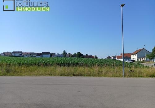 Blick von Nord