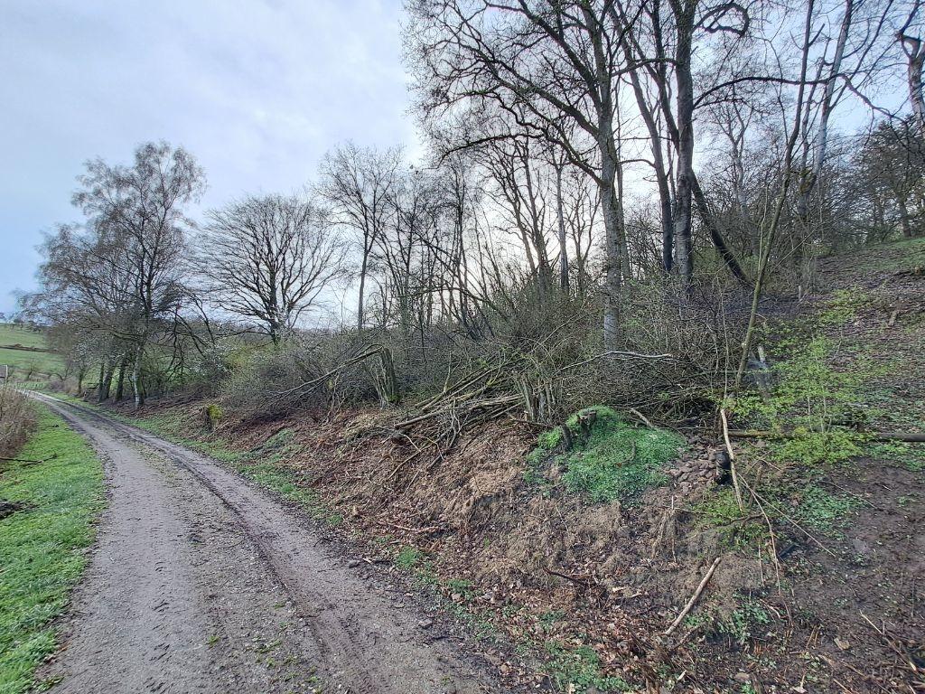 Ansicht 1