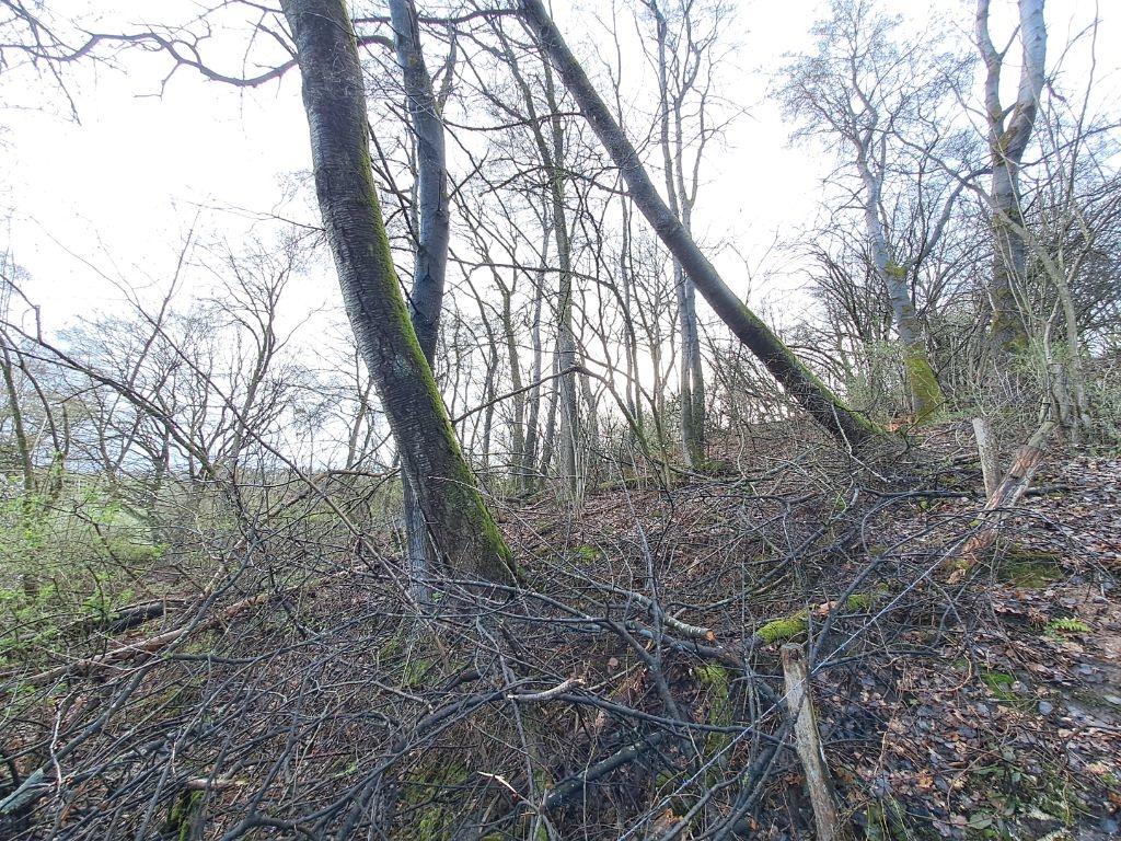 Ansicht 4
