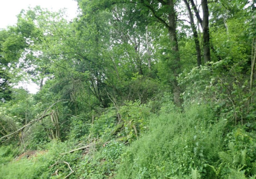 Ansicht 5