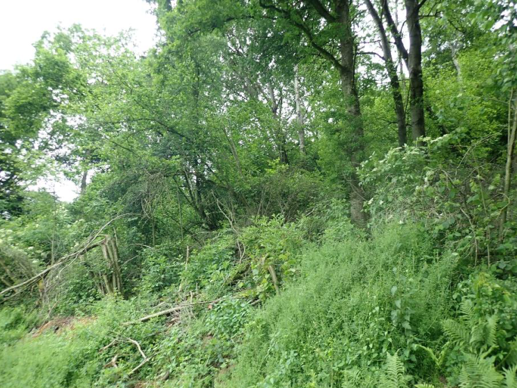 Ansicht 5
