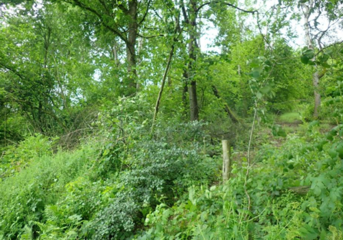 Ansicht 6