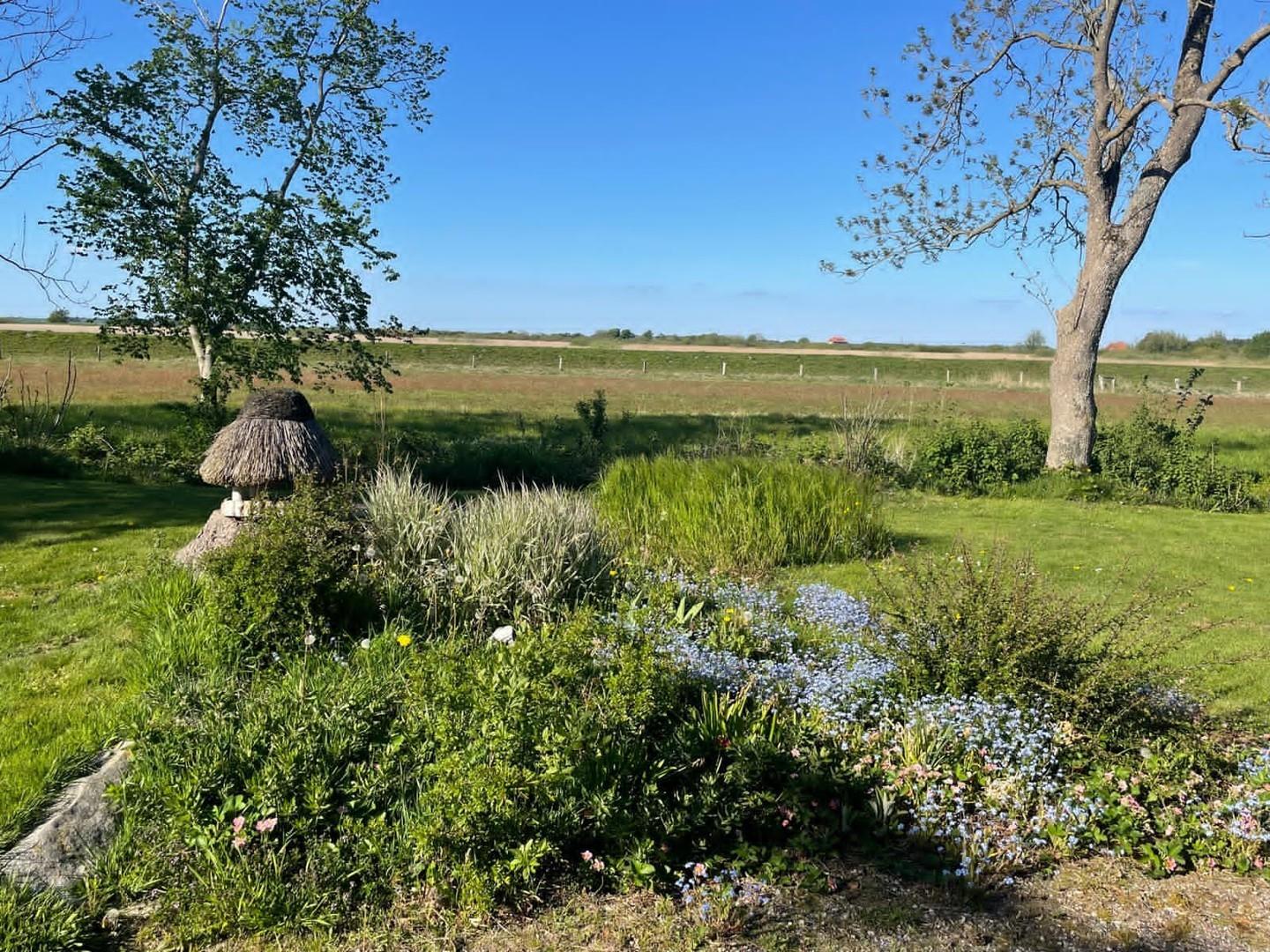 Blick nach Dänemark