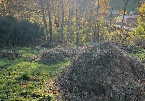 Baugrundstück mit Weitblick - Naturnahe Parzelle mit Entwicklungspotenzial