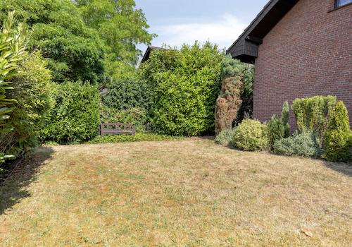 Garten vorne