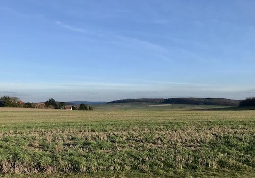 Feld 