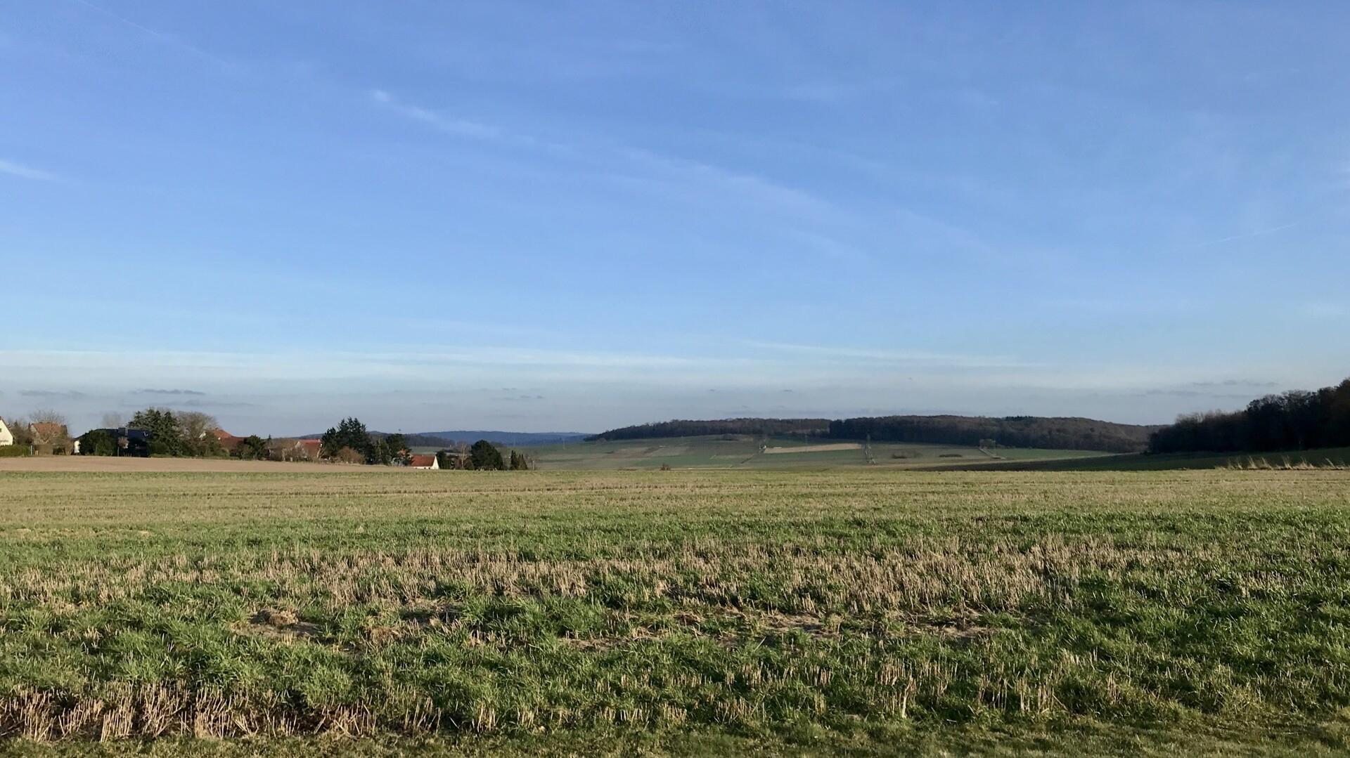 Feld 
