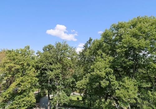 Blick aus dem Schlafzimmerfenster