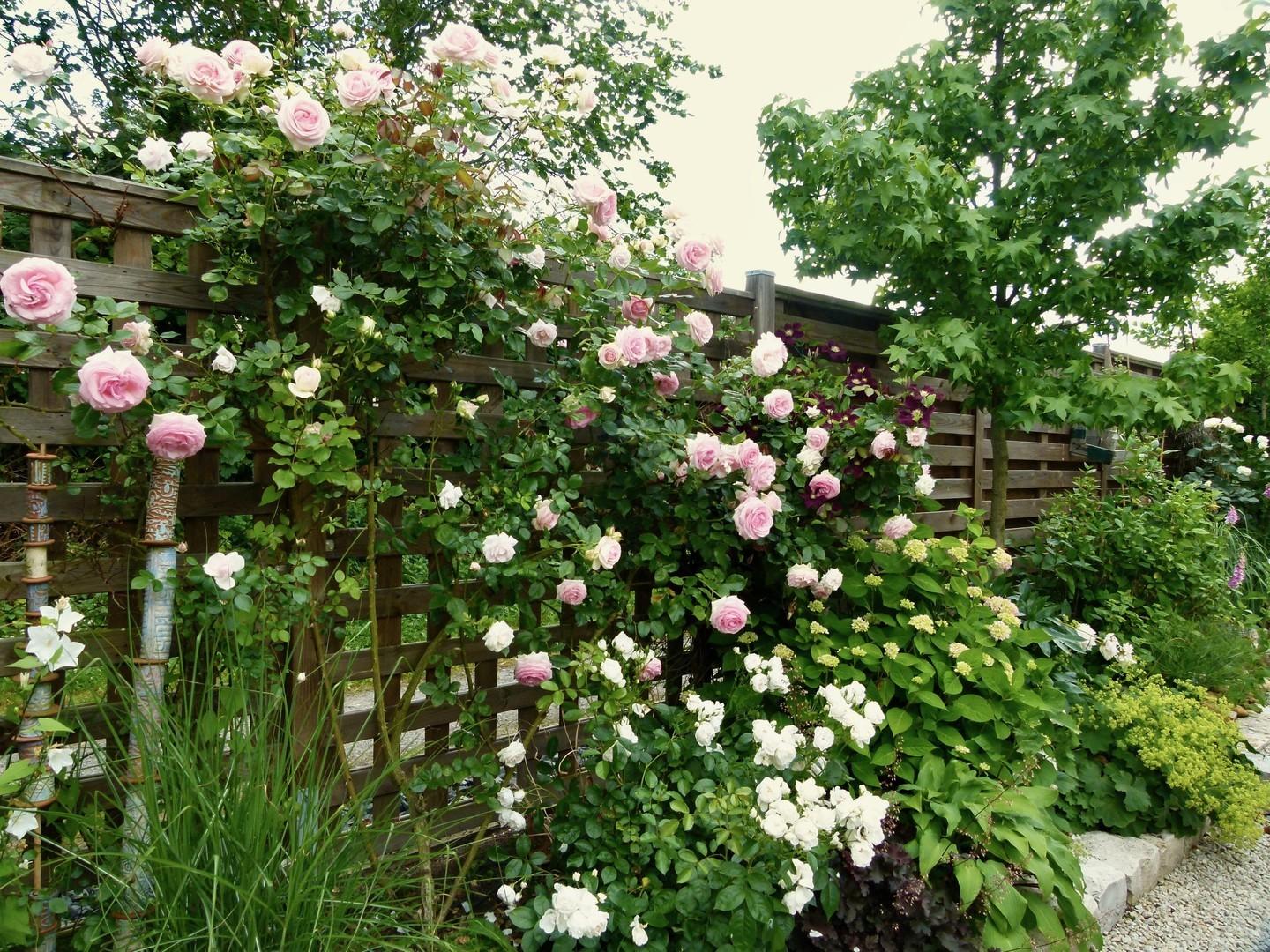 Rosengarten Süden