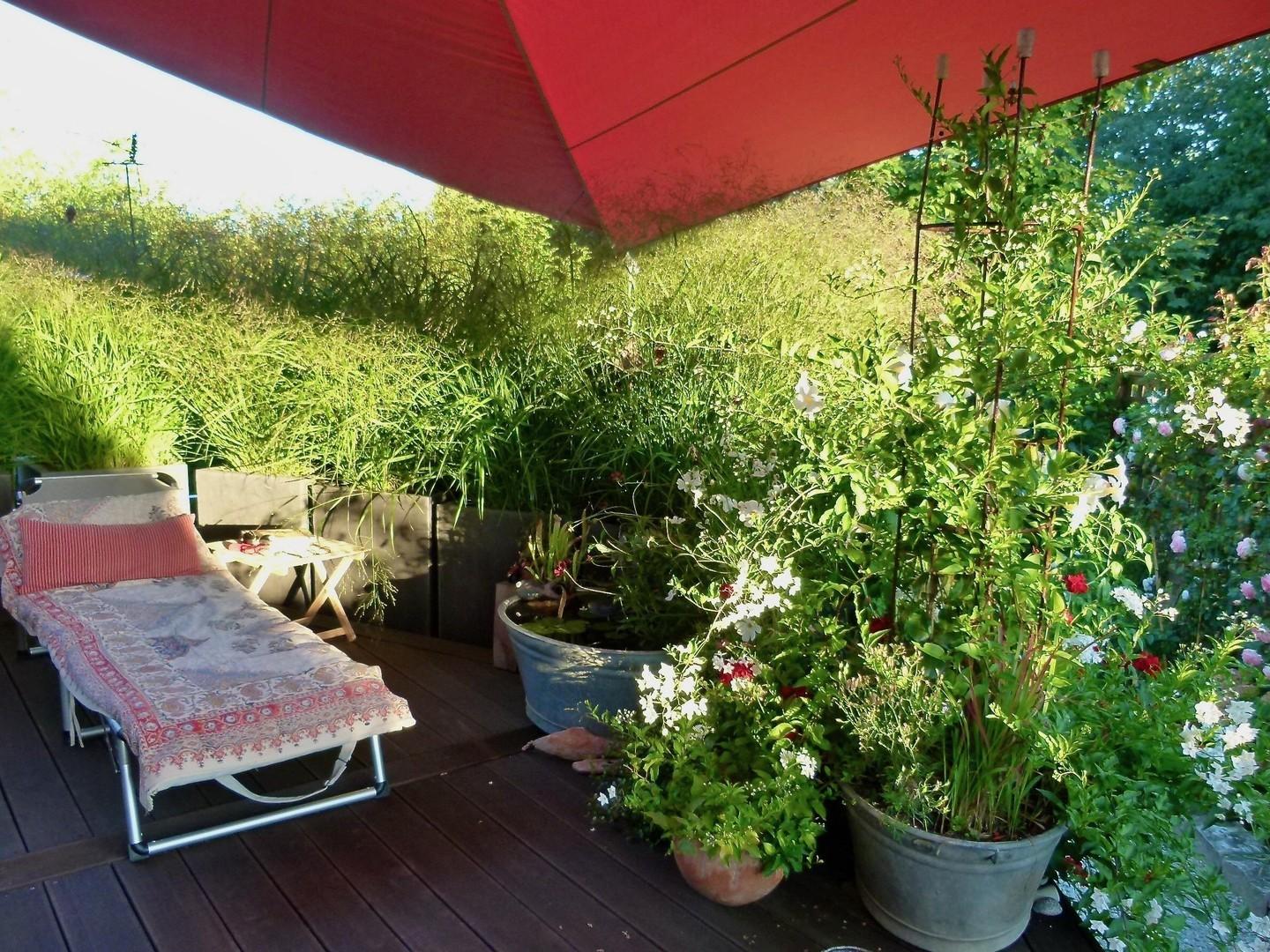 Terrasse Süden 