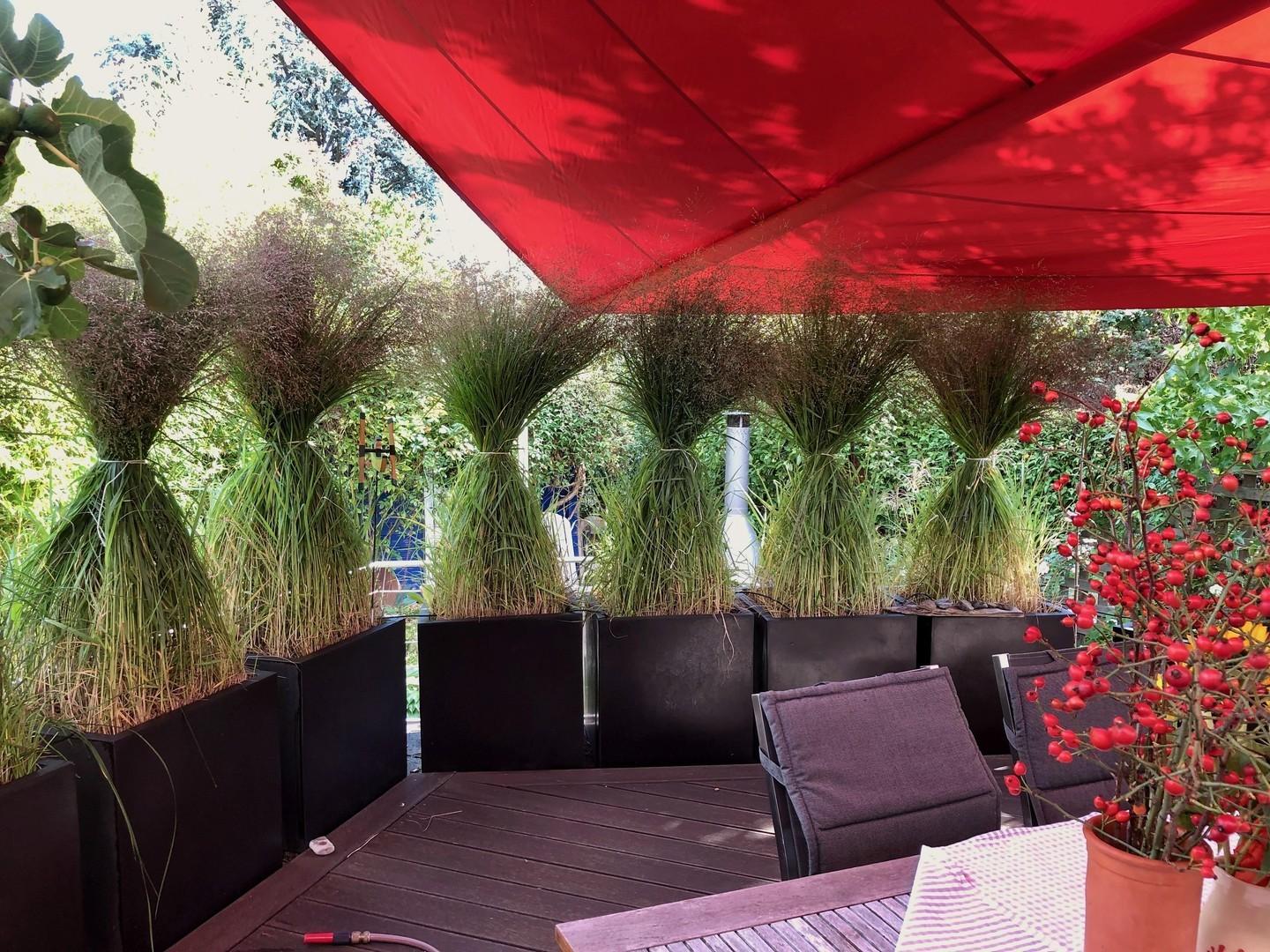 Südterrasse