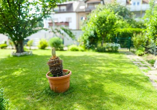Garten