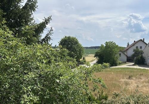 Bild/Grundriss 1