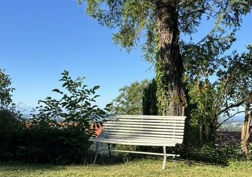 Chillen im Grünen