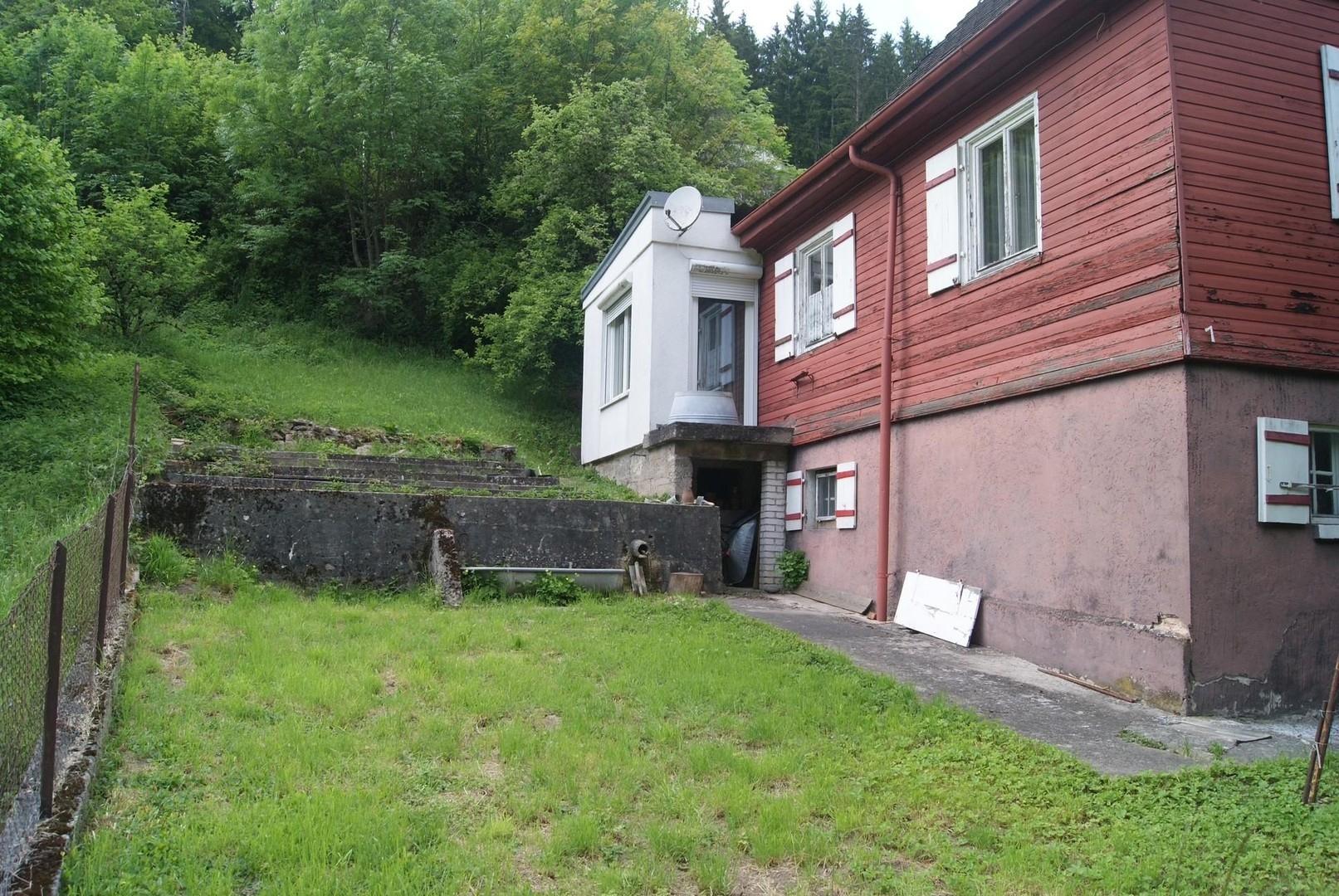 Großer, ebener Garten