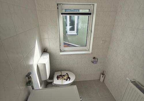 Waschmaschine und Toilette
