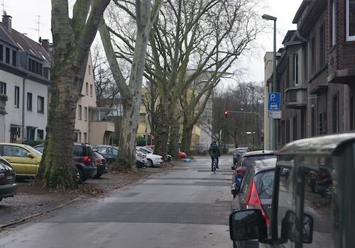Blick zum Stadtwald u. Uni