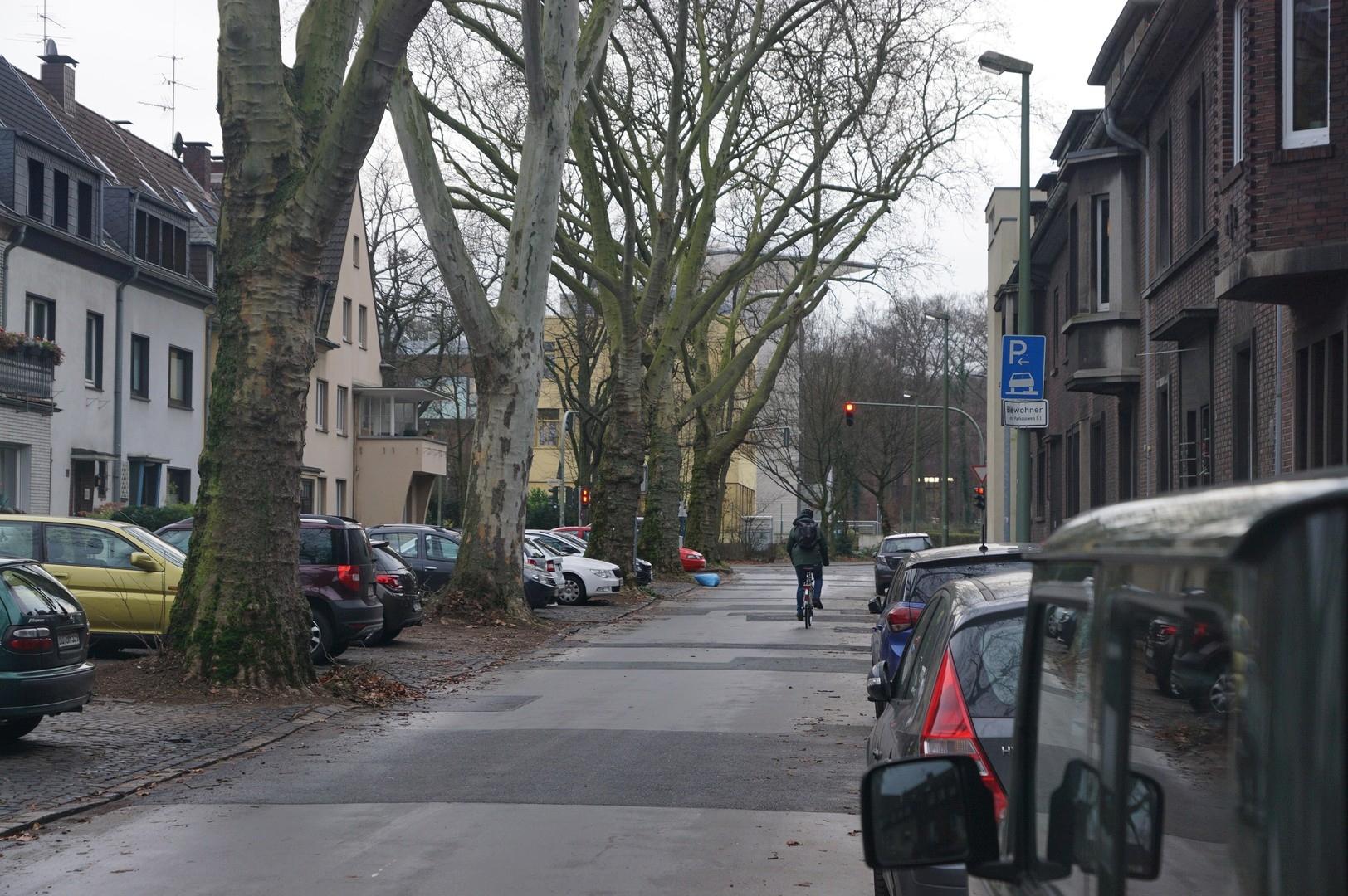 Blick zum Stadtwald u. Uni