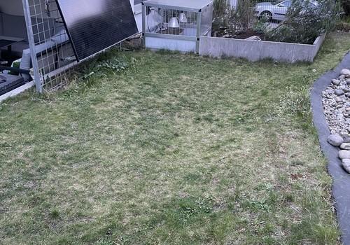 Garten 3