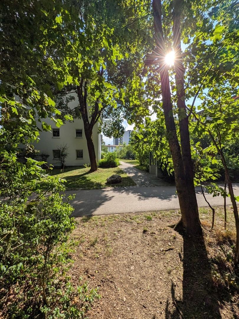 Weg am Waldstreifen