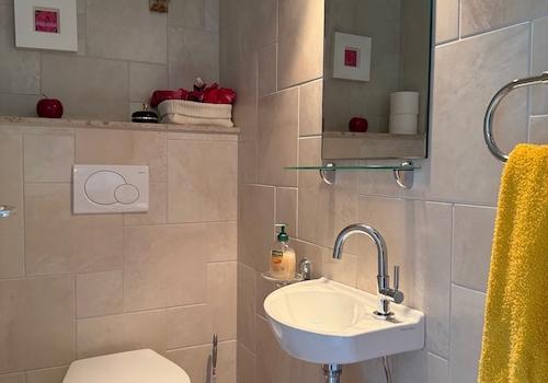 Ansicht Gäste-WC