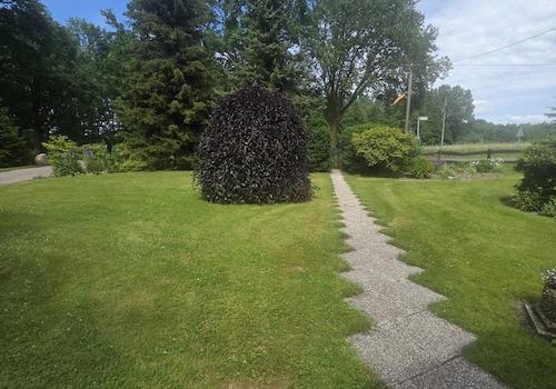 Garten2