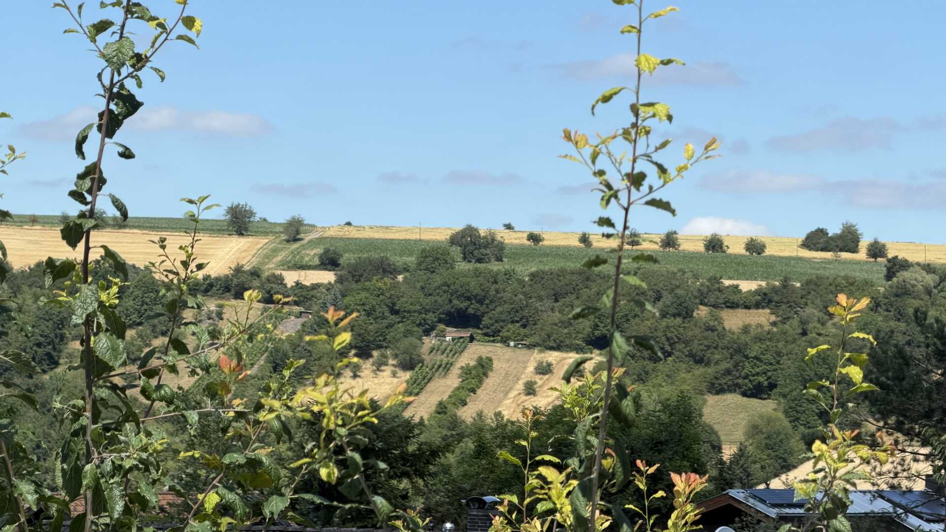 Aussicht nach Norden