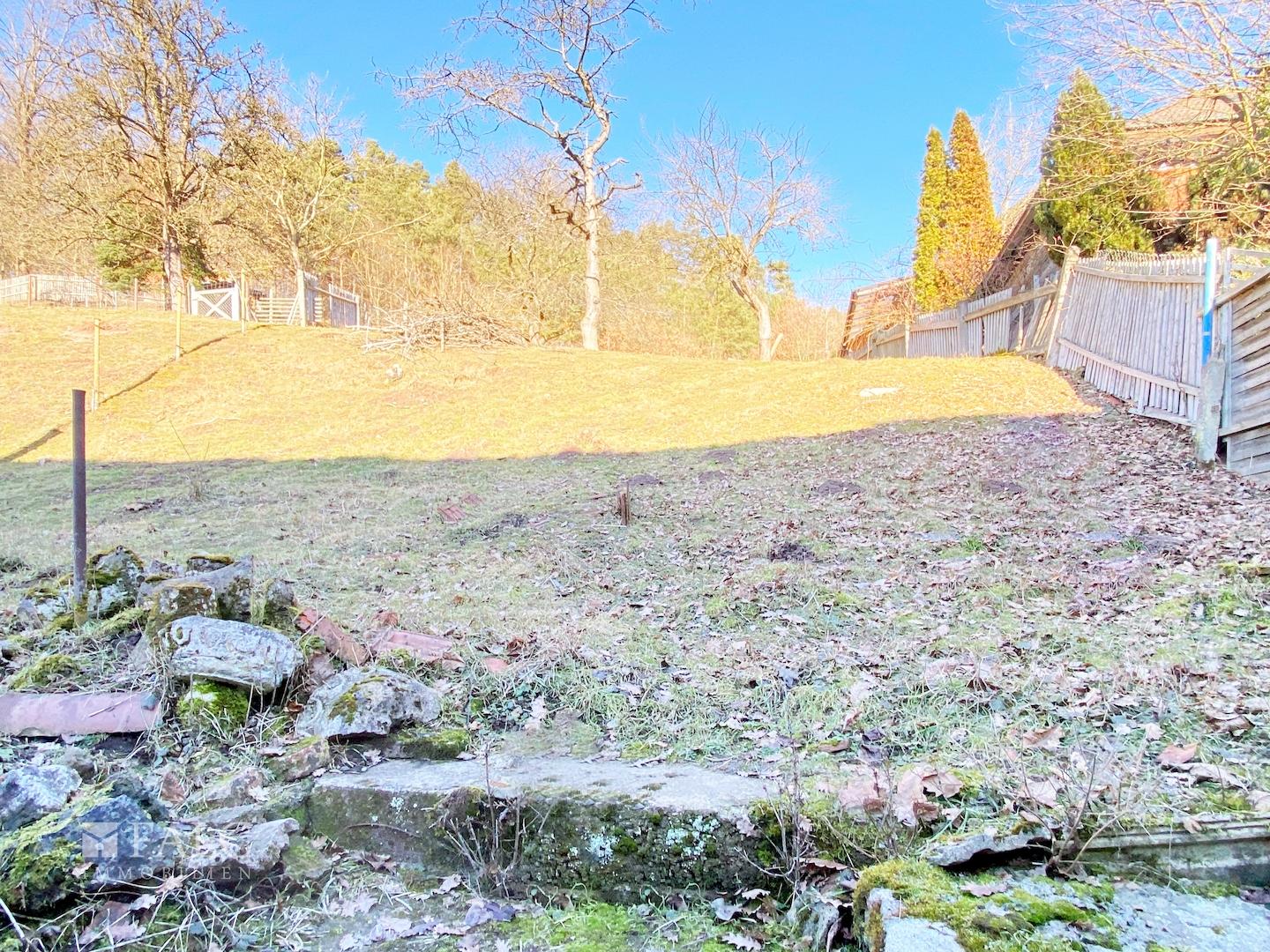 Gartenfläche