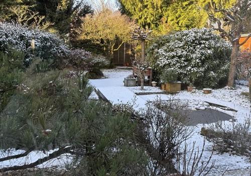 Garten im Winter