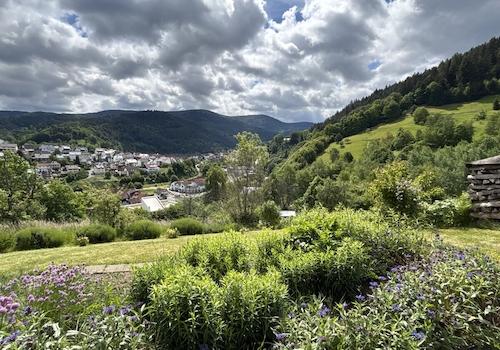 UG Aussicht