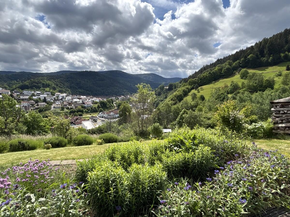 UG Aussicht