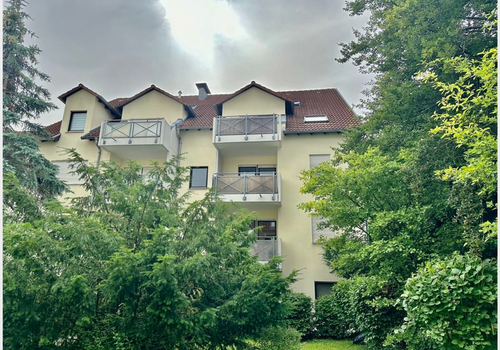 Blick in den Garten 